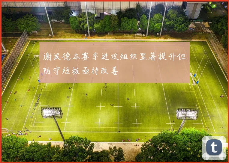 谢泼德本赛季进攻组织显著提升但防守短板亟待改善